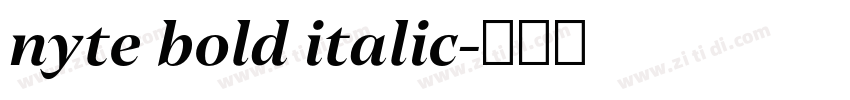 nyte bold italic字体转换